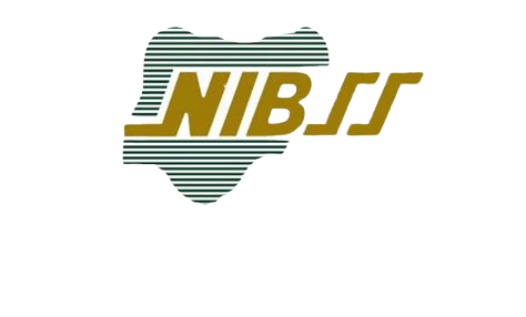 Nibbs Logo